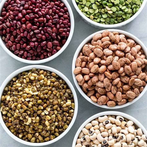 Bean Seed Types at Kaitlyn Corkill blog