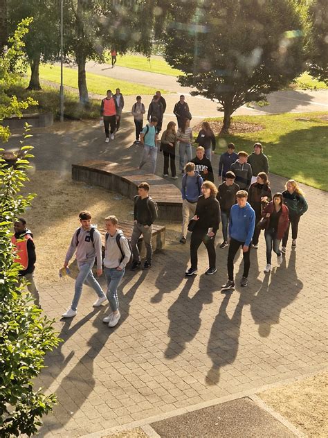 Image result for Immersive Software Engineering UL Lecture