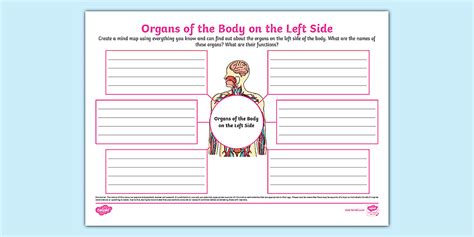 Organs of the Body on the Left Side Mind Map