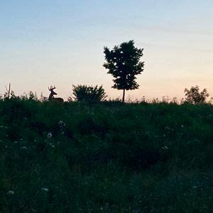 Storytime with a Park Ranger, 5437 West Jefferson Ave. , 48183, Trenton ...