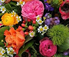 sfondo a fiori fiori immagini e foto da condividere sapevatelo sfondo a fiori fiori immagini e foto da condividere sapevatelo