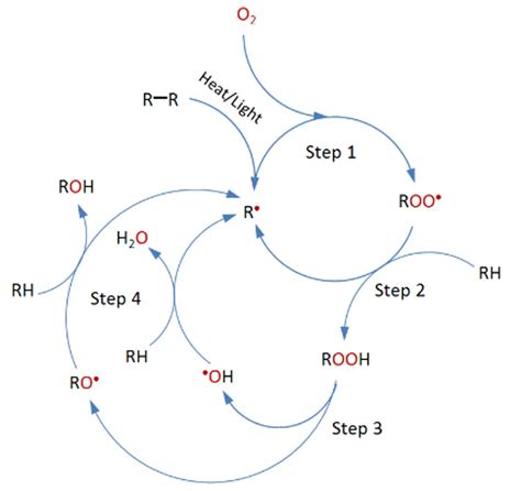 Image result for Computer Vision and Image Processing Book