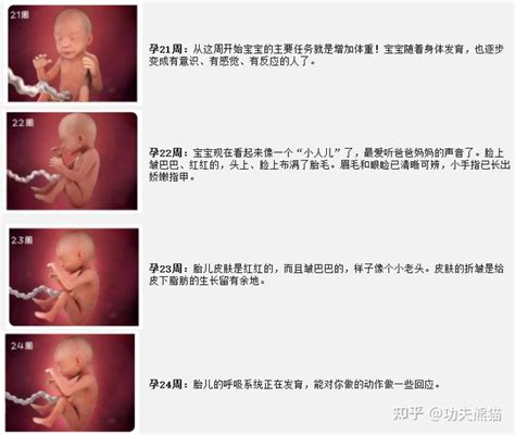 宝宝右枕前位图片,右枕位宝宝图片,枕前位和枕后位图片_大山谷图库