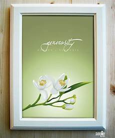 fiori d arancio significato il linguaggio dei fiori fiori d arancio generosit 224 fiori d arancio significato il linguaggio dei fiori fiori d arancio generosit 224