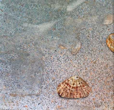 Image result for Ancient Tiger Shell