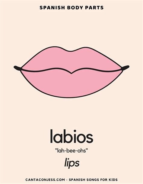 How to say Lips in Spanish: LABIOS (pronounced "LAH-bee-ohs"). The ...
