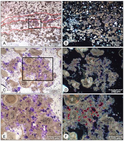 Geosciences | August 2022 - Browse Articles