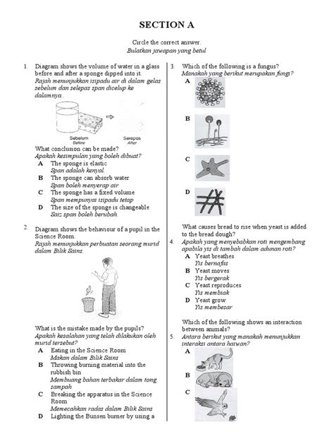 Science Basics for 6th Class 的图像结果