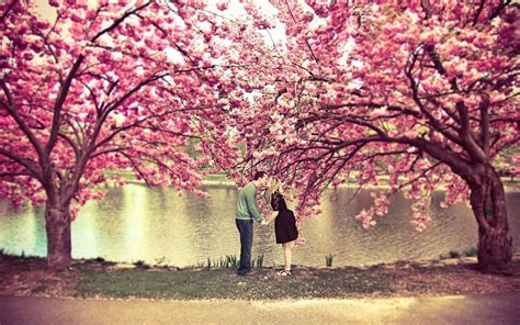 Image result for Pink Computer Code