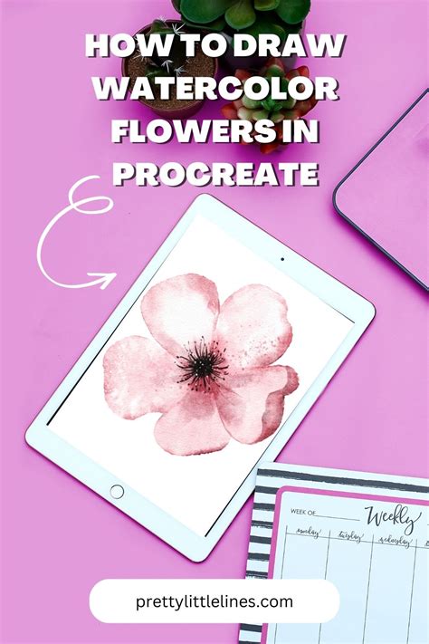 Image result for How Draw On Procreate Flo