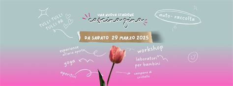 Apertura CASCINA GINA - I tulipani e i Narcisi , Strada Cascina Ca ...