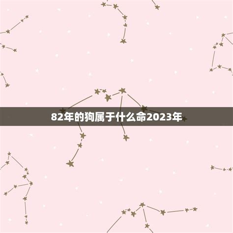 82年的狗属于什么命2023年(狗年运势大介绍)