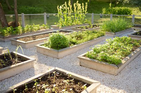 4 Vegetable Garden Layout Designs to Consider | Architectural Digest