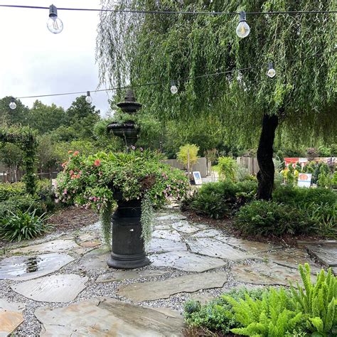 Dothan Nurseries Greenhouse, Gardens, and Gifts - All You Need to Know ...