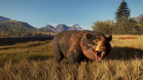 The Hunter Call Of The Wild Grizzly Bear at Krista Guerrero blog
