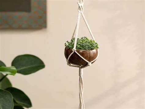 Success story of Thenga founder Maria Kuriakose who quit job and ...