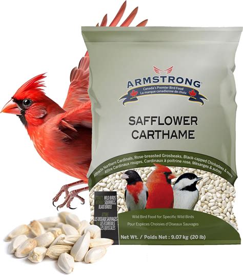 Amazon.com : Shafer Seed 84079 Safflower Seed Wild Bird Food, 50 lb ...