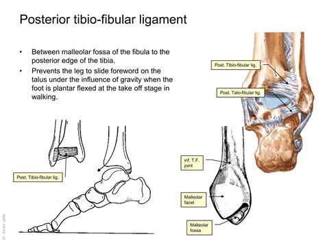 Hip Hop Dance Tutorial 的图像结果