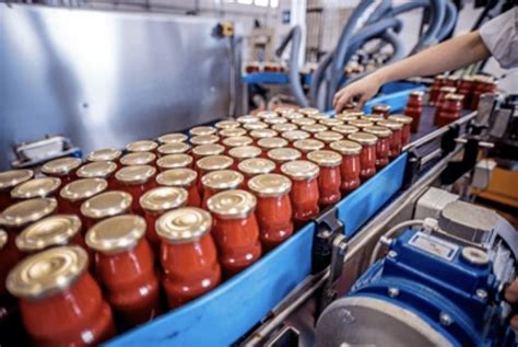 A Deep Dive into Commercial Sterilization: Ensuring Food Safety in ...