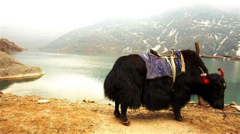 Sikkim Tour Itinerary - Things to do, Hotels & Places to Visit in ...
