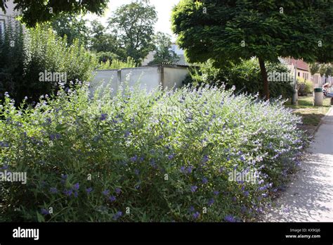 Image result for Programming Specification