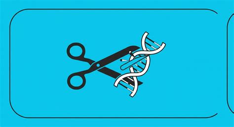 Virtual PCR Simulator 的图像结果