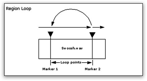 Image result for Sample Loop