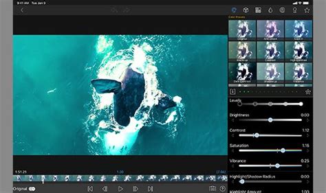Luma App 的图像结果
