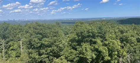 Blue Hills Skyline Trail, Massachusetts - 912 Reviews, Map | AllTrails