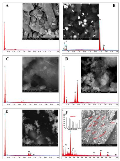Moxifloxacin Hydrochloride Electrochemical Detection at Gold ...