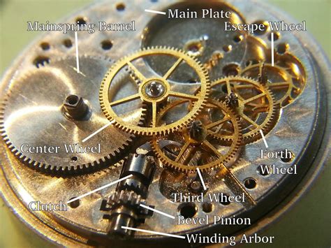 Watch Inside Parts Names at Stanley Dechant blog