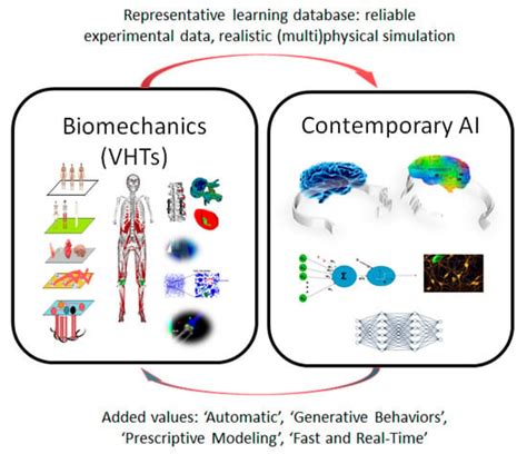 Bioengineering | Special Issue : Multiscale Modeling in Computational ...