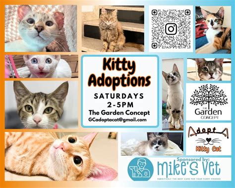 Cat Adoptions, The Garden Concept, Dubai, 5 July 2025 | AllEvents