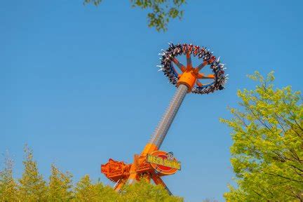 E-World: Everything You Need Before Visiting