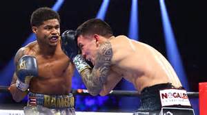 Shakur Stevenson dominates Oscar Valdez, Katie Taylor wins split ...