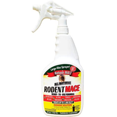 10 Best-Reviewed Mouse Repellents on Amazon | Family Handyman