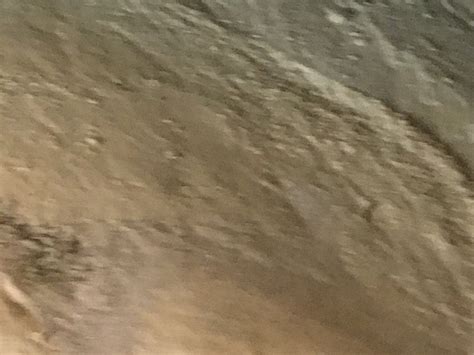 SUGARLAND TOURS (2026) All You Need to Know BEFORE You Go (with Photos ...