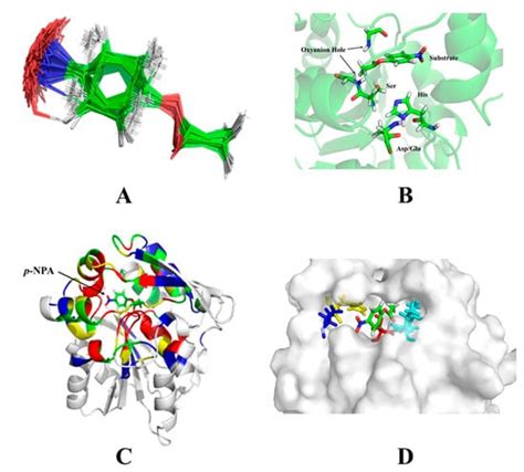 A De Novo Designed Esterase with p-Nitrophenyl Acetate Hydrolysis Activity