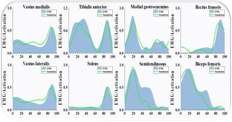 Exploring the Relationship Between Foot Position and Reduced Risk of ...