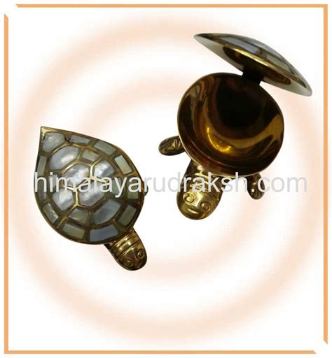 Divy Icchapurti Kachua (turtle) | Himalaya Rudraksha Anusandhan Kendra