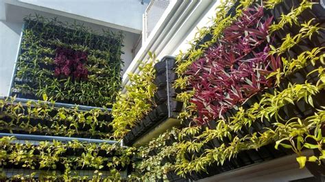 Wall Mounted Planters – ChhajedGarden.com