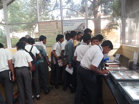 School children visit to Insectarium, NBAIR, Bengaluru | nbair
