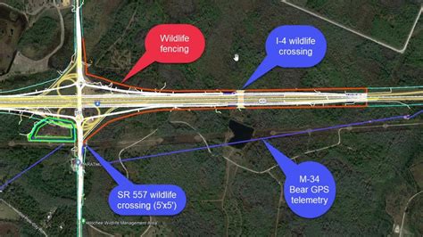 FDOT constructing wildlife underpass along I-4 to protect animals in ...