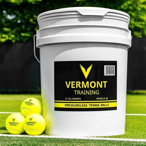 Vermont Pressureless Cricket Training Balls | Net World Sports