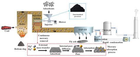 Study on the Regeneration-Cycle Mechanism of Cu-BTC@MWS Composites ...