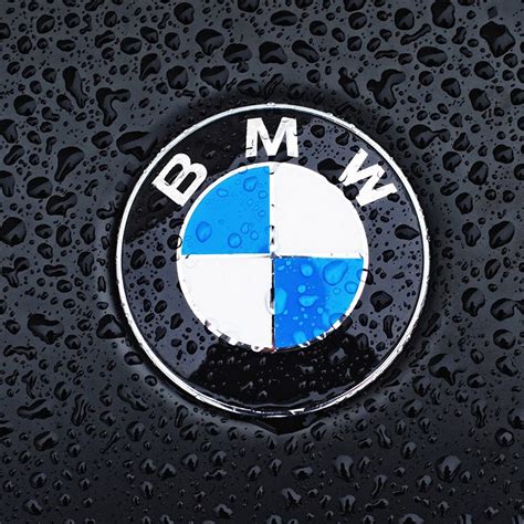Custom Bmw Logo Floor Mats at Christopher Jose blog