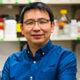 Therapeutic Potential of Targeting the PERK Signaling Pathway in ...