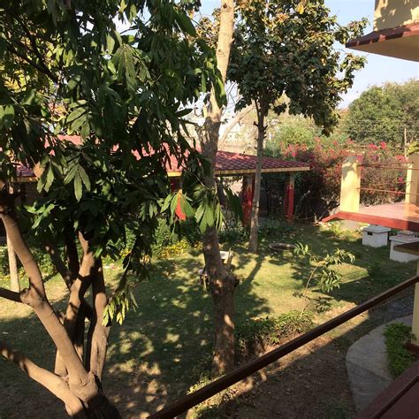 Root Institute, Bodh Gaya - Tripadvisor