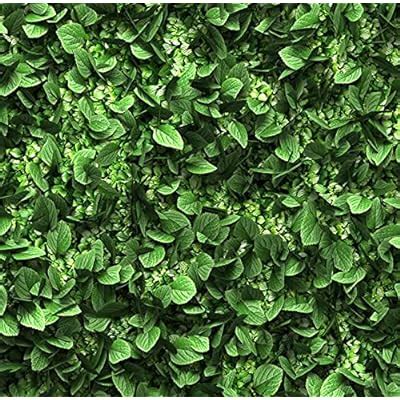 Buy HUAYI 6x5ft Green Leaves Backdrop Birthday Baby Shower Wedding ...