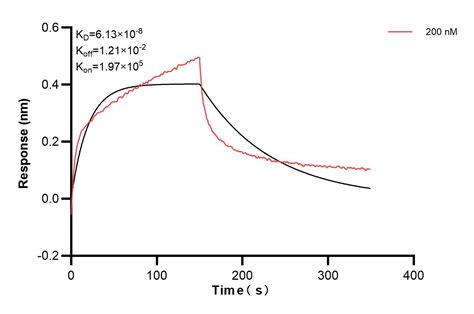 SLC9A3/NHE3 antibody (83832-4-PBS) | Proteintech